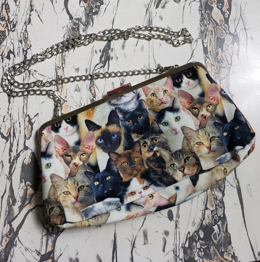 Cat Lady Subscription Box Chain Purse